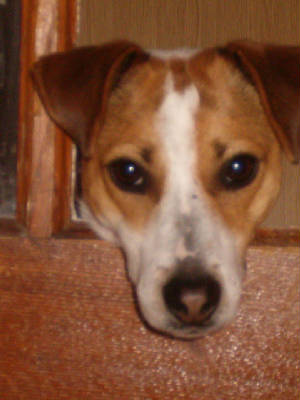 murphy7.jpg