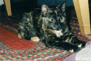 scan0001.jpg
