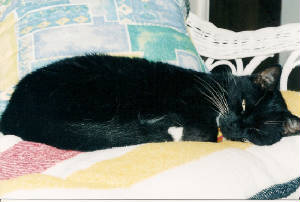 scan0002.jpg