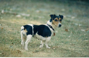 scan0004.jpg